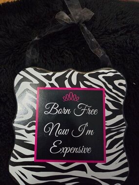 Born Free Now I'm Expensive Zebra Plaque - Black, White & Pink 7” by 7”